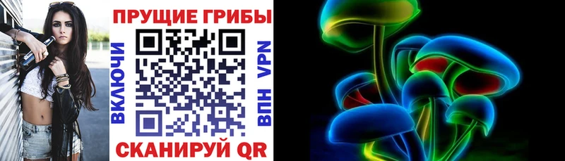 Псилоцибиновые грибы Psilocybe  Купить где  Можга 